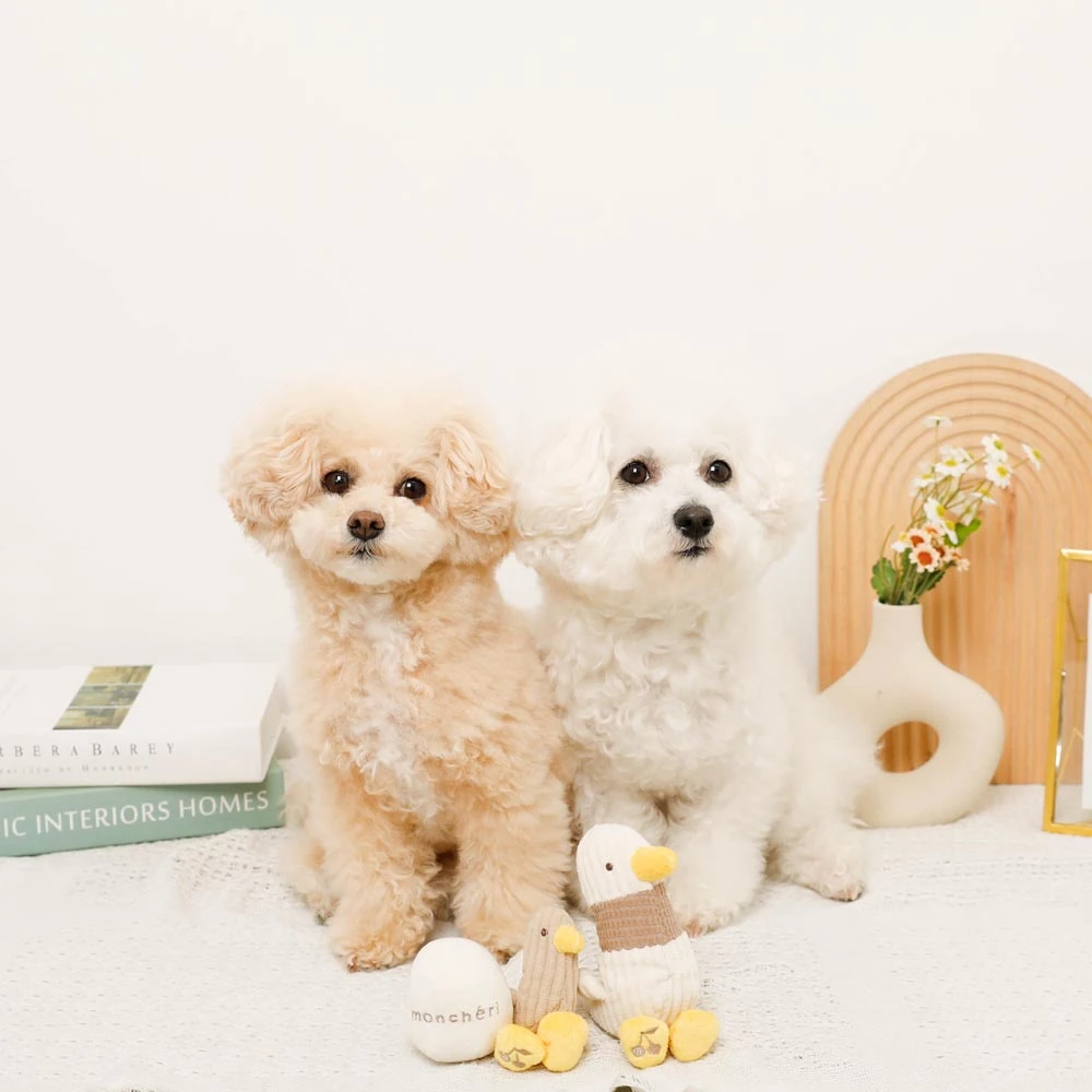 愛犬 t シャツ - Professional Guide and Review