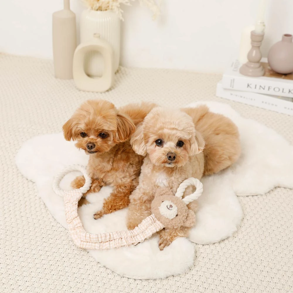 ハーネス 革 - leather dog harness FAQ questions