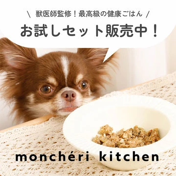 中型 犬 の 洋服 - Professional Guide and Review