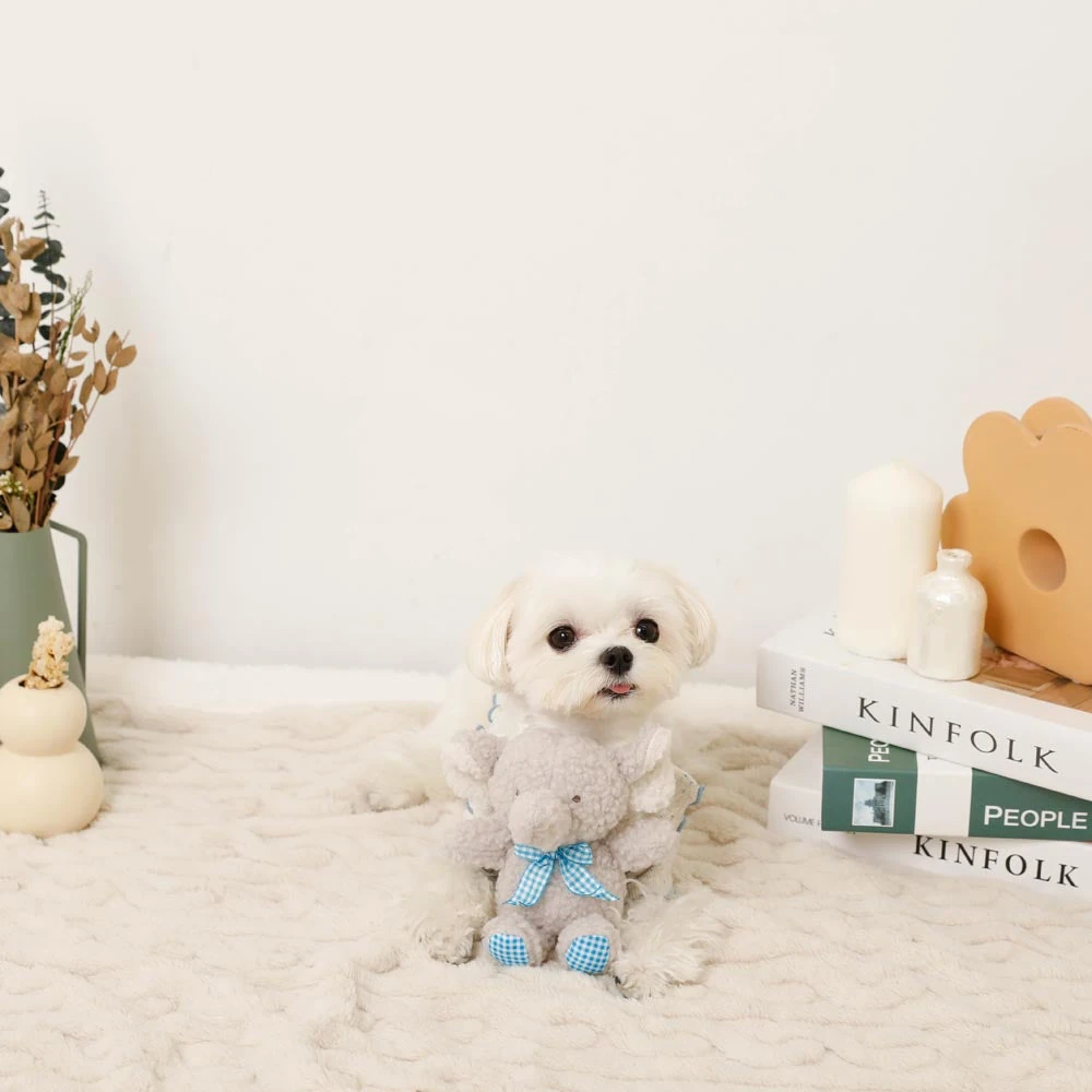 ハーネス 革 - leather dog harness evolution timeline