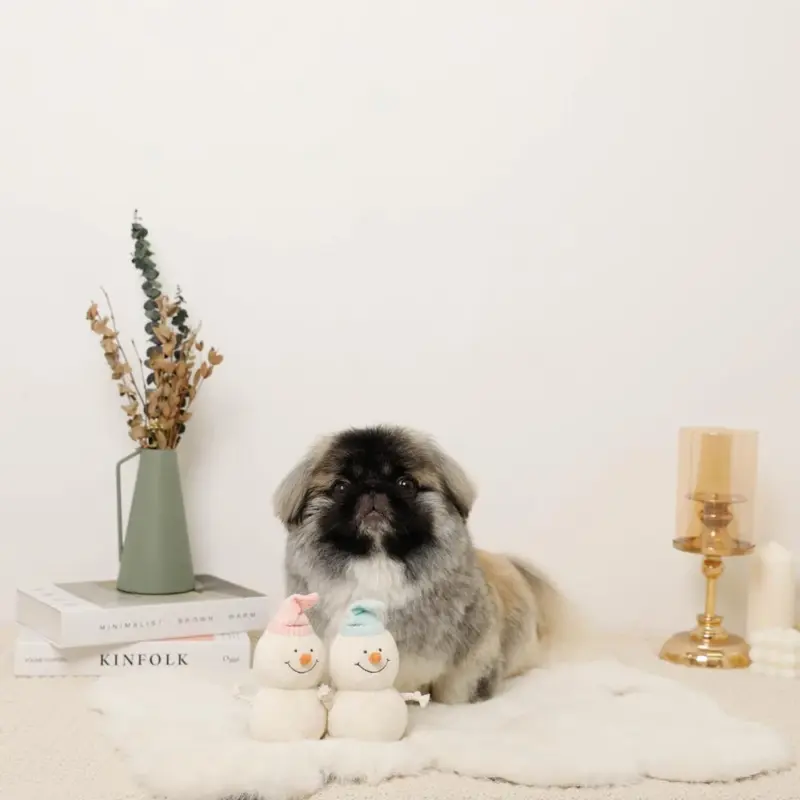 デンタルロープミニスノーマンぬいぐるみセット