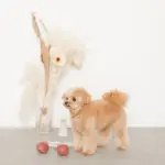 さくらんぼロープぬいぐるみ