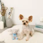 ぞうさんギンガムチェックリボンぬいぐるみ