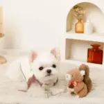 リスさんギンガムチェックリボンぬいぐるみ