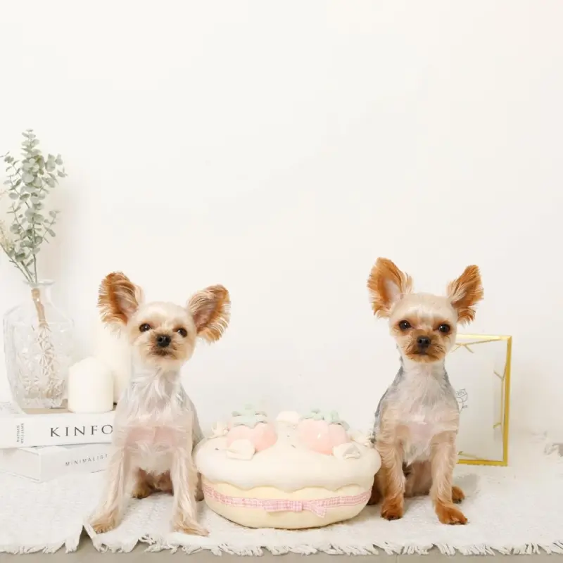 いちごのホールケーキノーズワークおもちゃ