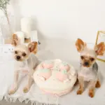 いちごのホールケーキノーズワークおもちゃ