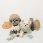 恐竜の仲間達おもちゃSET