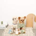 恐竜の仲間達おもちゃSET