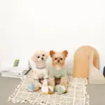 恐竜の仲間達おもちゃSET