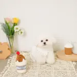 チョコレートホイップドリンクおもちゃ