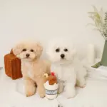 チョコレートホイップドリンクおもちゃ