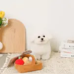 ピクニックセットのおもちゃ