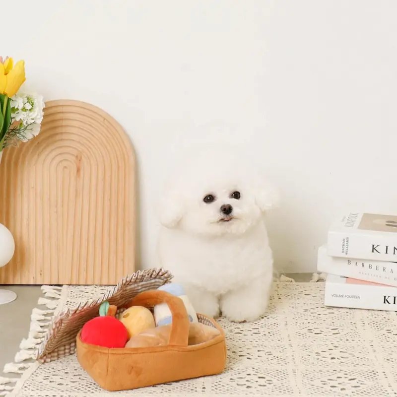 ピクニックセットのおもちゃ