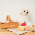 ピクニックセットのおもちゃ