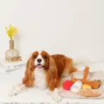 ピクニックセットのおもちゃ