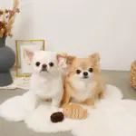 たいやきのおもちゃ