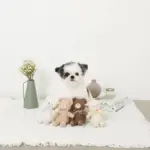 ひつじさんギンガムチェックリボンぬいぐるみ