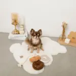 ノーズワークドーナツ型おもちゃ