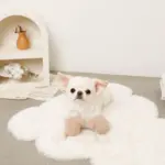 ミトンロープぬいぐるみ