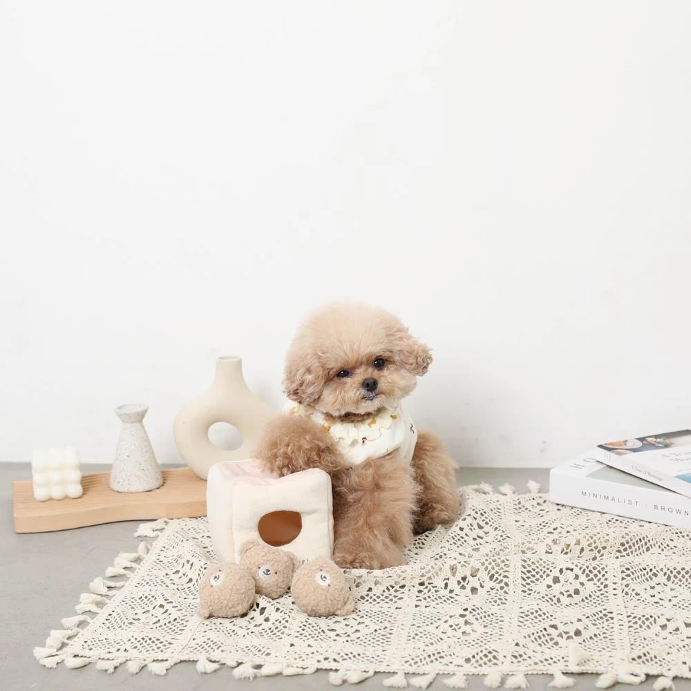 ペット 用品 おしゃれ - pet owner stylish room tour