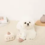 いちごのショートケーキノーズワークおもちゃ