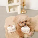 いちごのショートケーキノーズワークおもちゃ