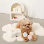 あご のせ 犬 - Professional Guide and Review