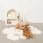 マカロンのおもちゃ