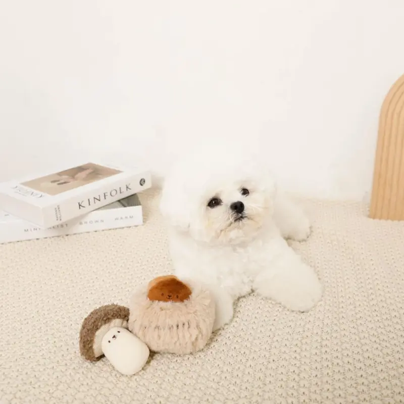 きのことくりのおもちゃSET