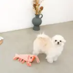 ロブスターおもちゃ USB充電