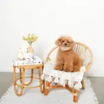 白いうさぎさん