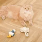 くびながのあひるさん