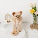 プレッツェルおもちゃ