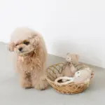 くまさんロープぬいぐるみ