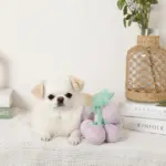 ぶどうノーズワークおもちゃ