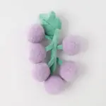ぶどうノーズワークおもちゃ