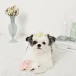 海の仲間たちのおもちゃSET