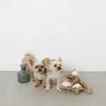 海の仲間たちのおもちゃSET