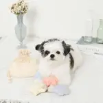 貝殻の仲間たちノーズワークおもちゃ+巾着袋付き