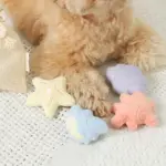 貝殻の仲間たちノーズワークおもちゃ+巾着袋付き