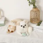 ラッコと貝殻おもちゃ