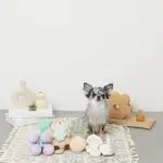 ラッコと貝殻おもちゃ