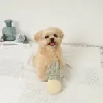 パイナップルノーズワークおもちゃ