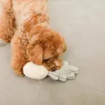 シリコン 水筒 - Professional Guide and Review