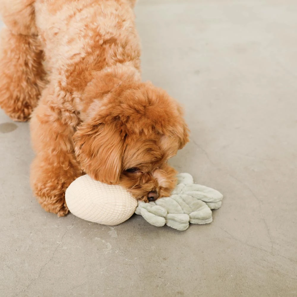 シリコン 水筒 - Professional Guide and Review