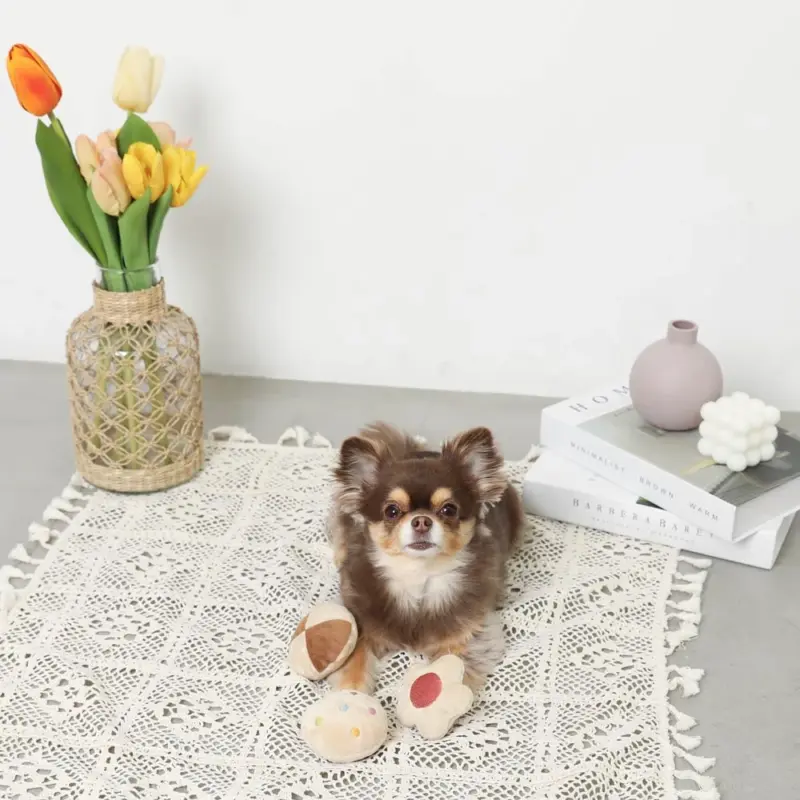 クッキー詰め合わせノーズワークおもちゃ