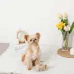 クッキー詰め合わせノーズワークおもちゃ