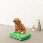 ノーズワークいちごと森の動物のおもちゃ