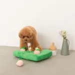 ノーズワークいちごと森の動物のおもちゃ