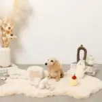 ノーズワークさいころおもちゃ